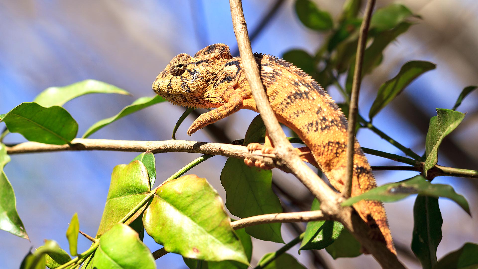 Browse our collections of sample trips ...